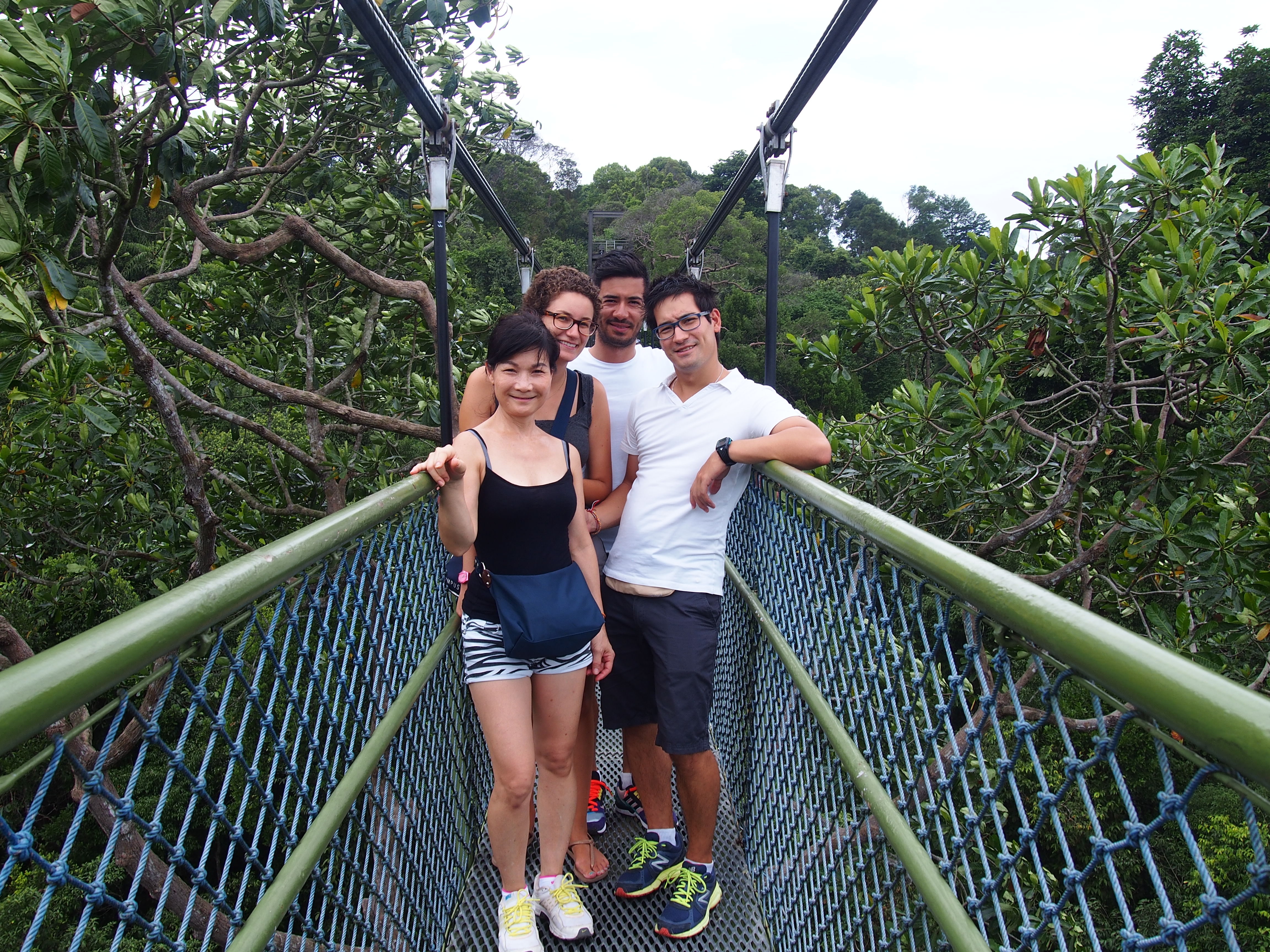 Dépaysement au parc Macritchie