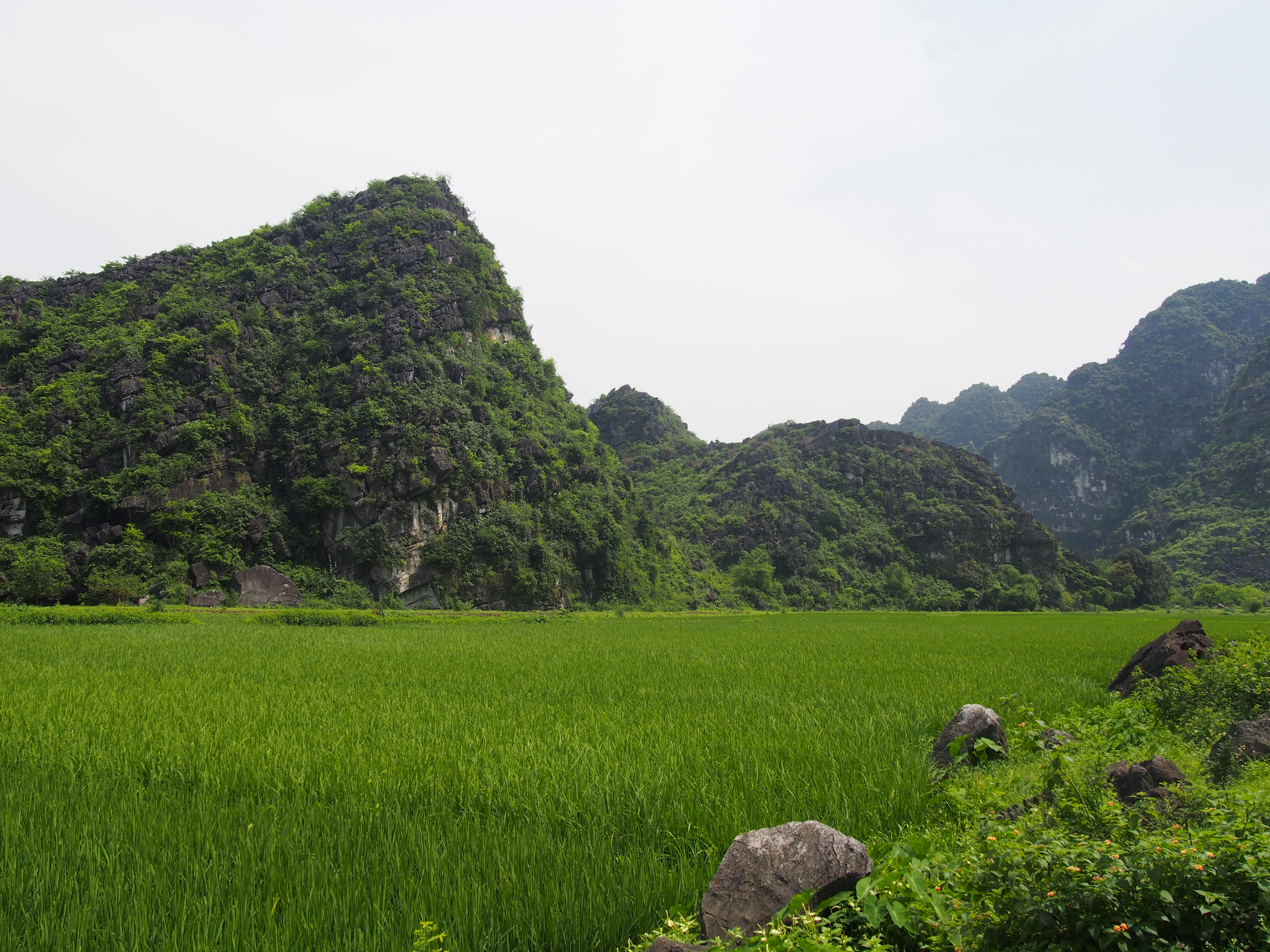 Baie d’Halong terrestre (Ninh Binh)