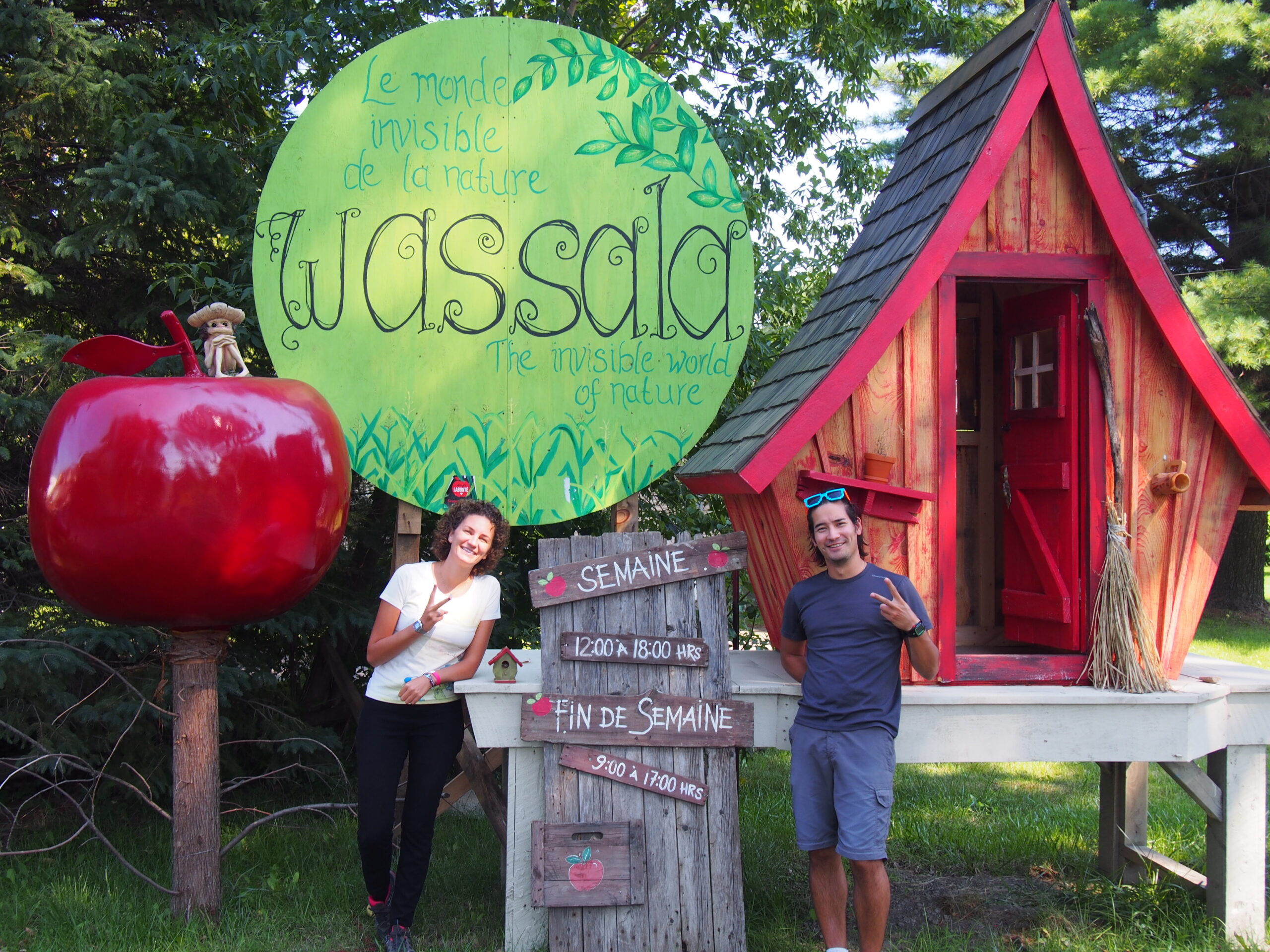 Des pommes et des pommes